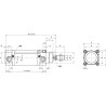 Vérin UNIVERSEL DN50300CMG2