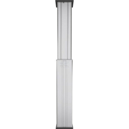 Colonne de levage LINAK DL230CA00500655