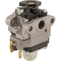 Carburateur MTD 75305251 - 753-05251