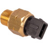 Thermostat LOMBARDINI ED0091951080S