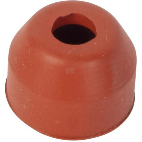 Valve LOMBARDINI ED0021350680S