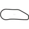 Joint torique LOMBARDINI ED0012003840S