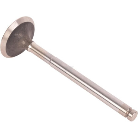 Valve LOMBARDINI ED0096850310S