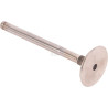 Valve LOMBARDINI ED0096850310S