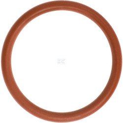 Circlip LOMBARDINI ED0012000810S