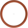 Circlip LOMBARDINI ED0012000810S
