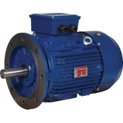 Moteur électrique UNIVERSEL EM160MA2B5500IE3G