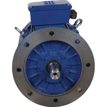 Moteur électrique UNIVERSEL EM160MA2B5500IE3G