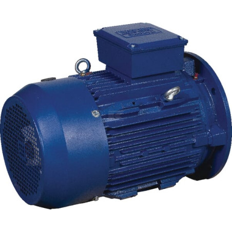 Moteur électrique UNIVERSEL EM160MA2B5500IE3G