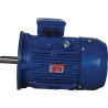 Moteur électrique UNIVERSEL EM160MA2B5500IE3G