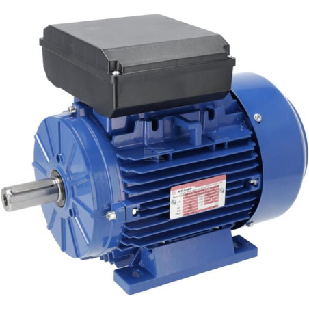 Moteur électrique UNIVERSEL EM100LX2B31A0IE2A