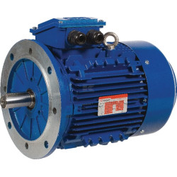 Moteur électrique UNIVERSEL EM132MA6B5500IE3A