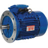 Moteur électrique UNIVERSEL EM132MA6B5500IE3A