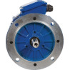 Moteur électrique UNIVERSEL EM132MA6B5500IE3A