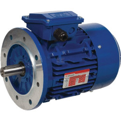 Moteur électrique UNIVERSEL EM200L4B5500IE3GKR