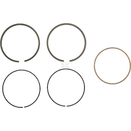Segments ETESIA ET18717