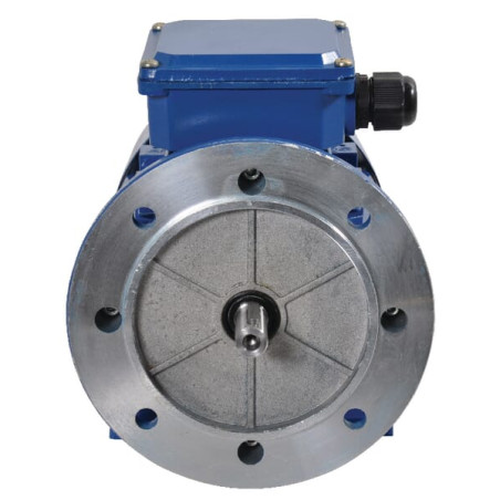 Moteur électrique UNIVERSEL EM80A4B3B5300IE2A