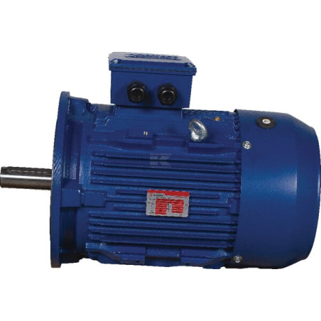 Moteur électrique UNIVERSEL EM80A2B5300IE3AKR