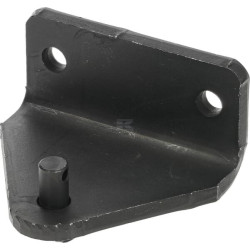 Plaque ETESIA ET31533