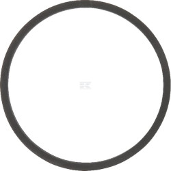 Joint de thermostat FENDT (AGCO) F119200050050