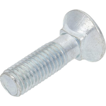 Vis MASCHIO F01090250R