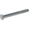 Vis MASCHIO F01020272R