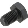 Vis MASCHIO F01010222R
