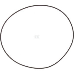Joint MASCHIO F03010696R