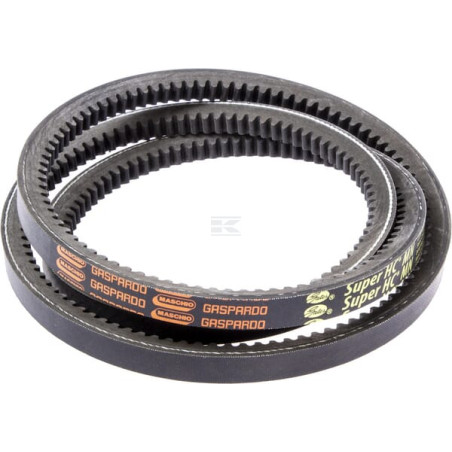 Courroie de traction MASCHIO F06010041R