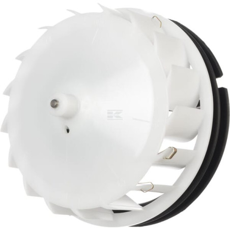 Ventilateur FENDT (AGCO) F178810130050