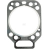 Joint de culasse FENDT (AGCO) F183200210052