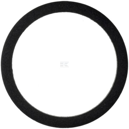 Anneau FENDT (AGCO) F514960100010