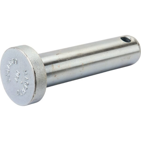 Pivot MASCHIO F20100141R