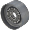 Galet tendeur AGCO F718202040060