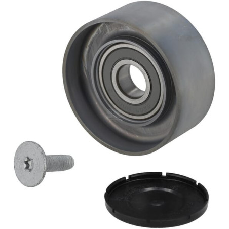 Galet tendeur AGCO F718202040060