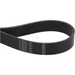 Courroie FENDT (AGCO) F954200040010