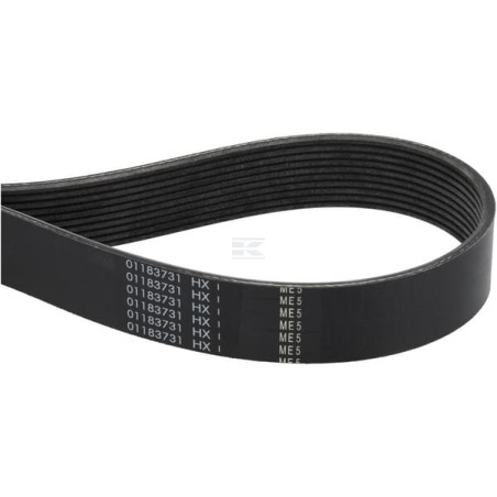 Courroie FENDT (AGCO) F954200040010