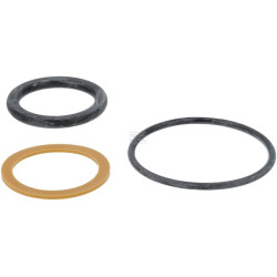 Kit FENDT (AGCO) F718960100010