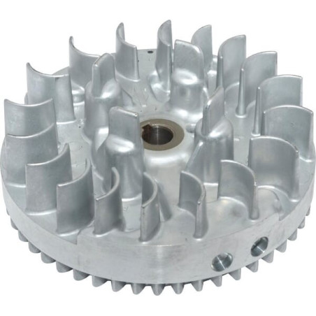 Volant d'inertie BRIGGS ET STRATTON 793682