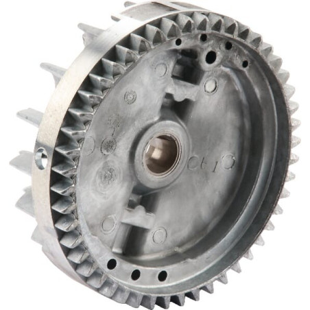 Volant d'inertie BRIGGS ET STRATTON 591282
