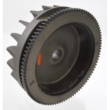 Volant d'inertie BRIGGS ET STRATTON 493456