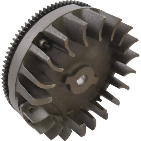 Volant d'inertie BRIGGS ET STRATTON 493456