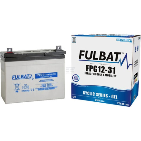 Batterie FULBAT FPG1231
