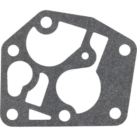 Carburateur BRIGGS & STRATTON FGP456480