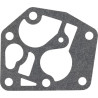 Carburateur BRIGGS & STRATTON FGP456480