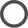 Carburateur BRIGGS & STRATTON FGP456480
