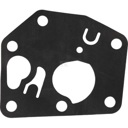 Carburateur BRIGGS & STRATTON FGP456480