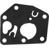 Carburateur BRIGGS & STRATTON FGP456480