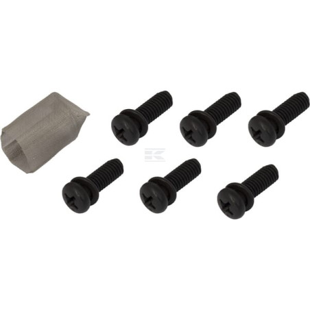 Carburateur BRIGGS & STRATTON FGP456480