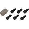 Carburateur BRIGGS & STRATTON FGP456480